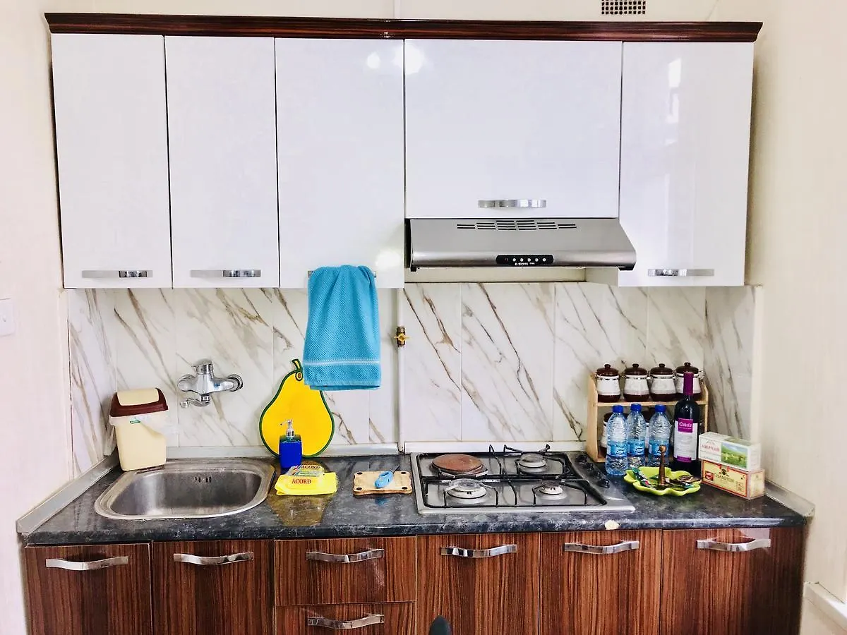 Check In Apartment On Montin Bakü Azerbaycan