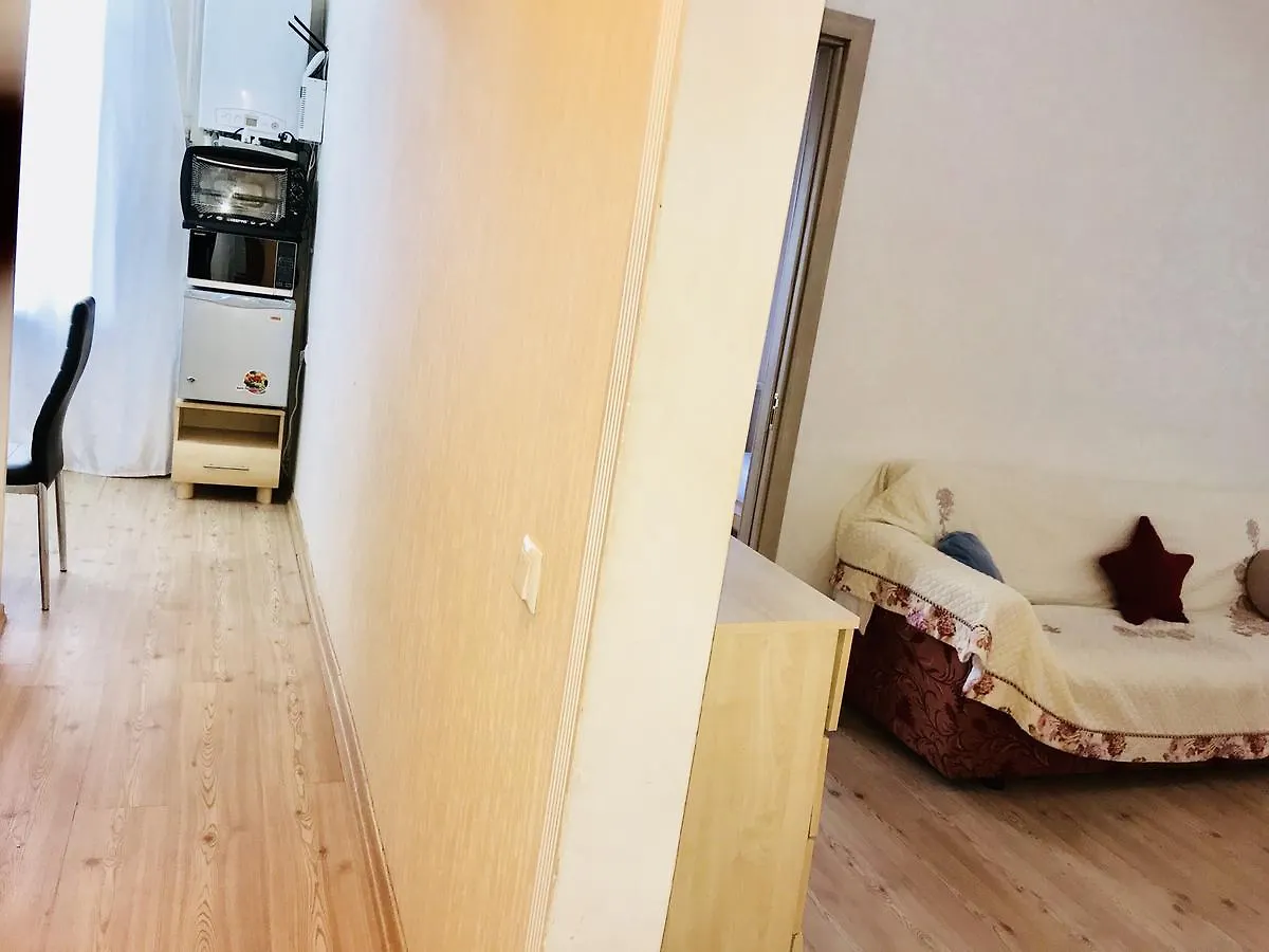 Check In Apartment On Montin Bakü Azerbaycan